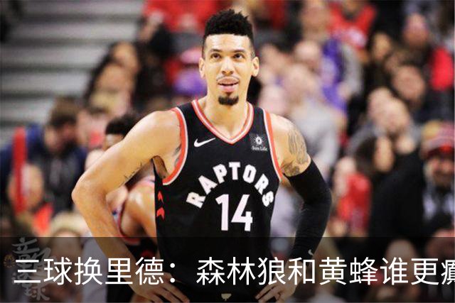 三球换里德：森林狼和黄蜂谁更癫？！